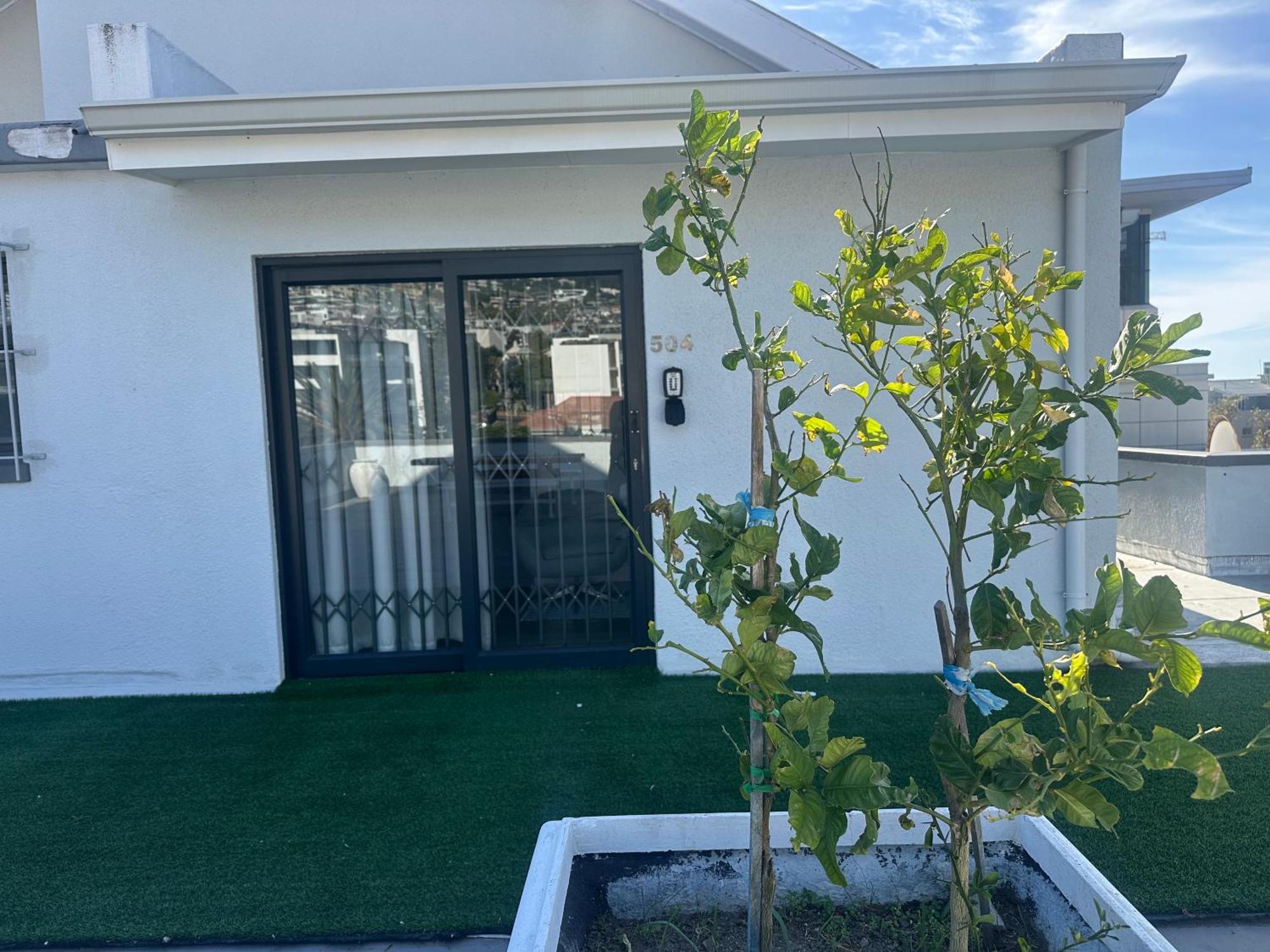 Camborne Holiday Apartments ケープタウン エクステリア 写真